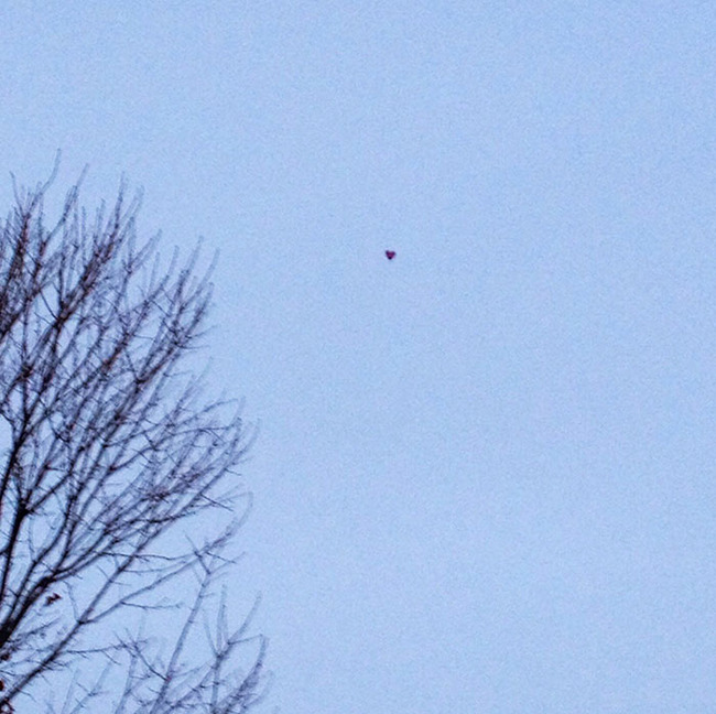 funny-valentines-day-fails-accidents-58-63c7d453a0f0e__700 (1)