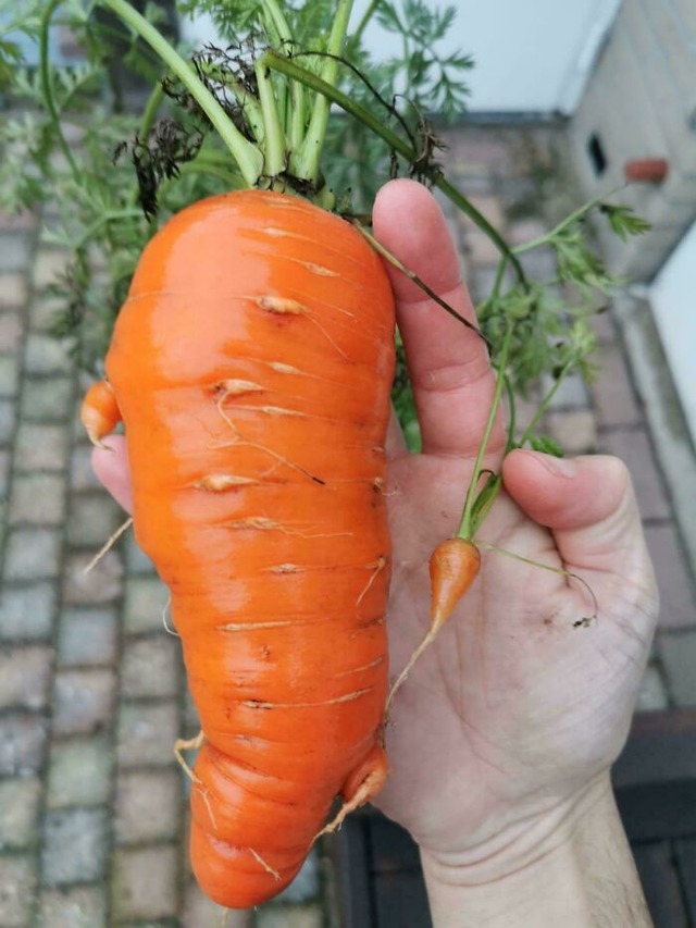 679ab369776ae_2twai6tdao3e1-jpeg__700