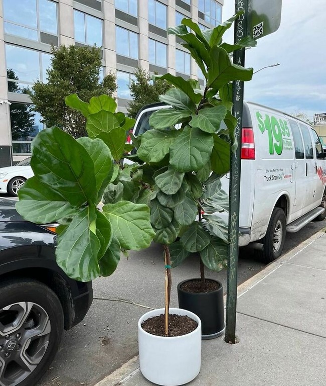 CiI76wNu1_c-png__700