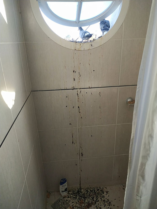 bad-day-fails-242-5ee7231120255__700
