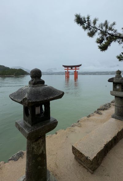 528757883_735651535912067_445014