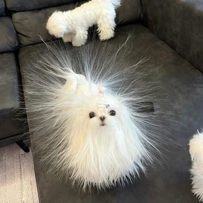 CmHOifLNhhU-png__700