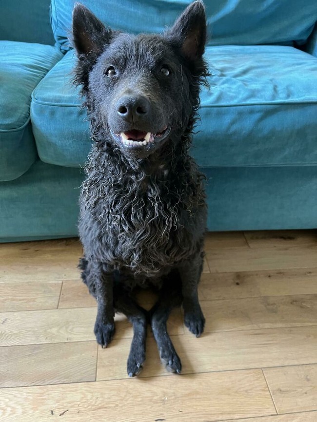 637259214c12c_mraqg5wlhnz81__700