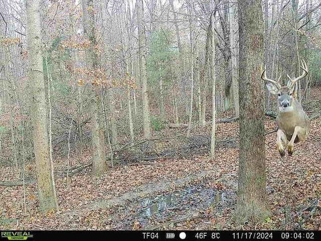 DCg1EOHO_n0-png__700