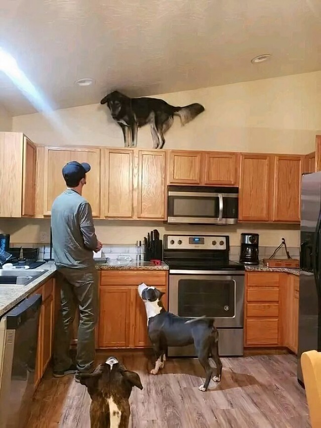 66b33b868fa95_weird-interesting-unseen-things