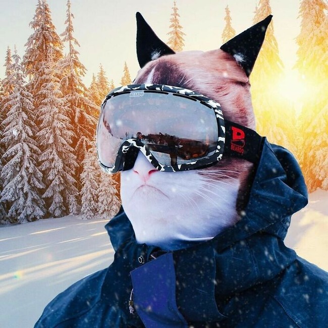 BQntiwrDiFj-png__700