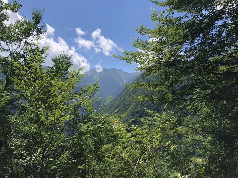 IMG_0512