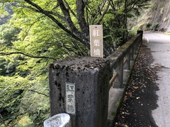IMG_0941