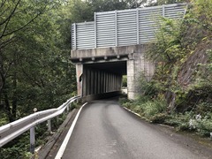IMG_0871
