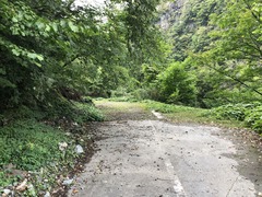 IMG_0929