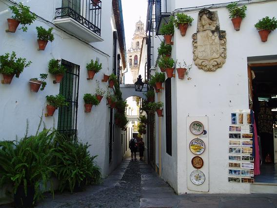 スペイン一人旅３１ 花の小道など コルドバ編 自由への道