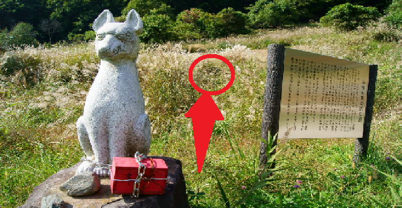 鳥居の前には狛犬ではなくオオカミ様の燈篭 そこで出会った巫女さんと宮大工の奇跡の出会い Allinmedia 鳥居の前には狛犬ではなくオオカミ様の燈篭 そこで出会った巫女さんと宮大工の奇跡の出会い Allinmedia