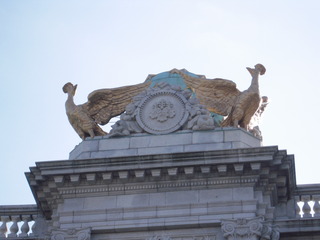 DSCN5331