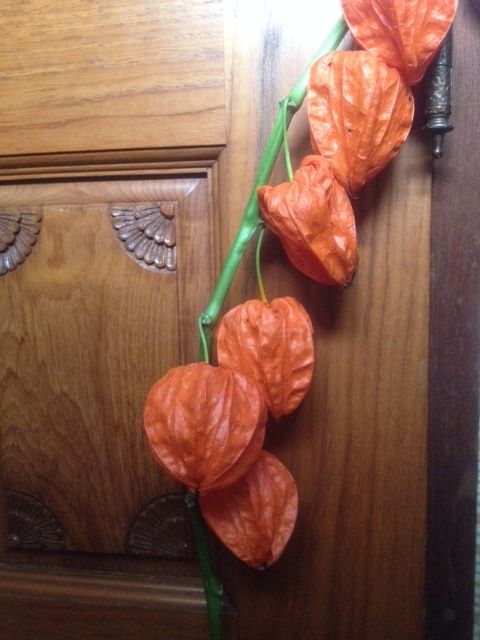 初夏の ほおずき ラッキーｄｉａｒｙ