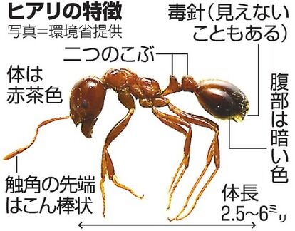 hw414_AS20170630002984_comm
