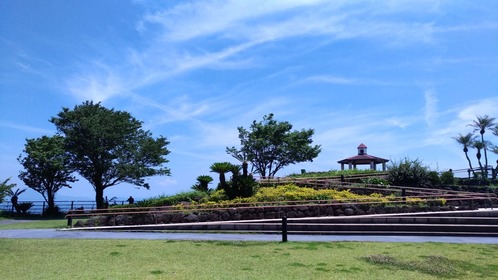 P_20180602_111219_vHDR_On