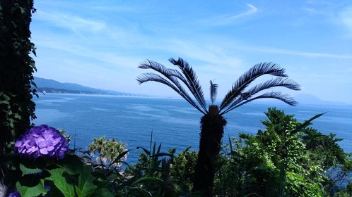 P_20180602_111331_vHDR_On