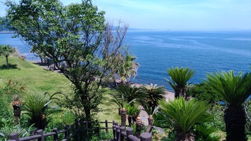 P_20180602_111423_vHDR_On