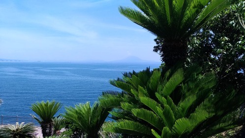 P_20180602_111448_vHDR_On