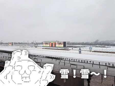 府中競馬場,雪