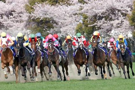 oukashou_2016