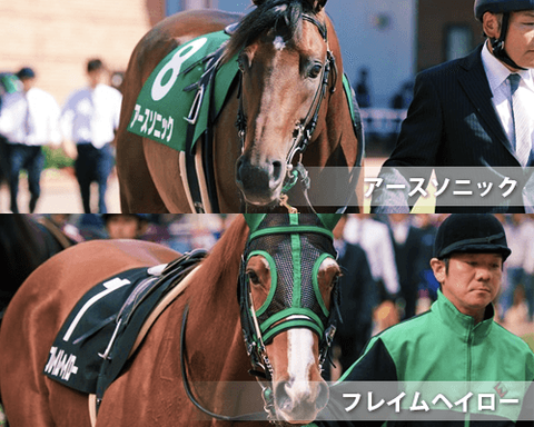 アースソニック,フレイムヘイロー