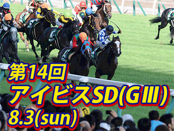 アイビスサマーダッシュ