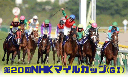 nhkmilecup2015