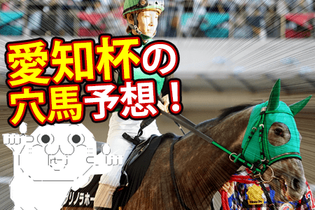 クリノラホール愛知杯