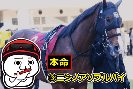 ニシノアップルパイ,本命