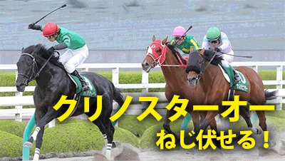 シリウスステークスクリノスターオー