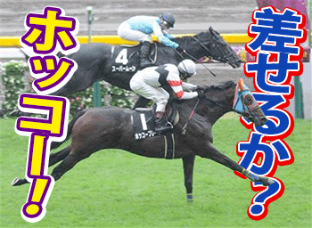 ホッコーブレーヴ