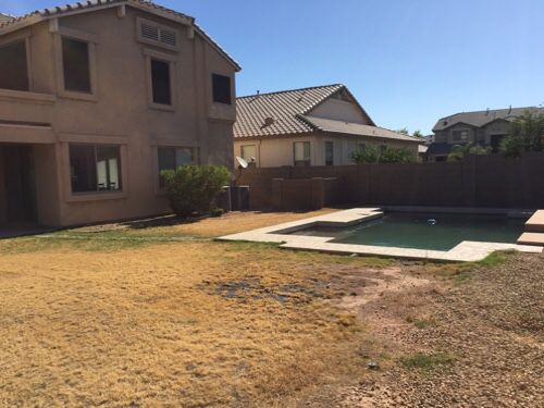 裏庭改造プロジェクト アリヤとムサシのおうち In Arizona 裏庭改造プロジェクト アリヤとムサシのおうち In Arizona