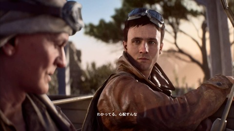 bfv01