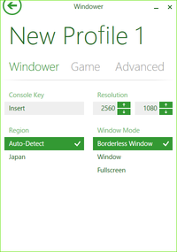 windowerdl06