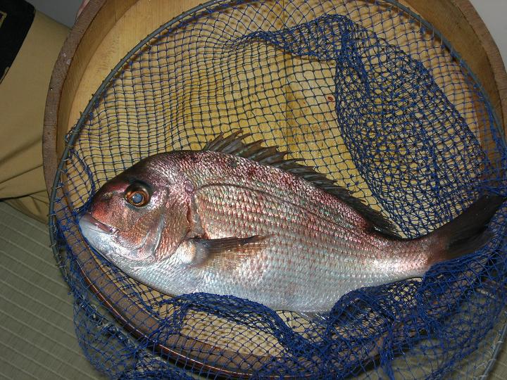 釣船茶屋ざうお 小牧店 喰楽大作戦