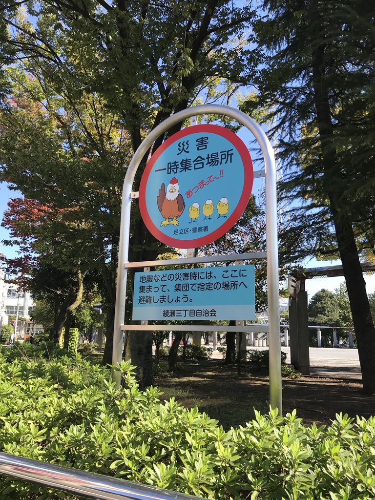 都立東綾瀬公園 ハト広場編 東京下町ってどうなの 都立東綾瀬公園 ハト広場編 東京下町ってどうなの
