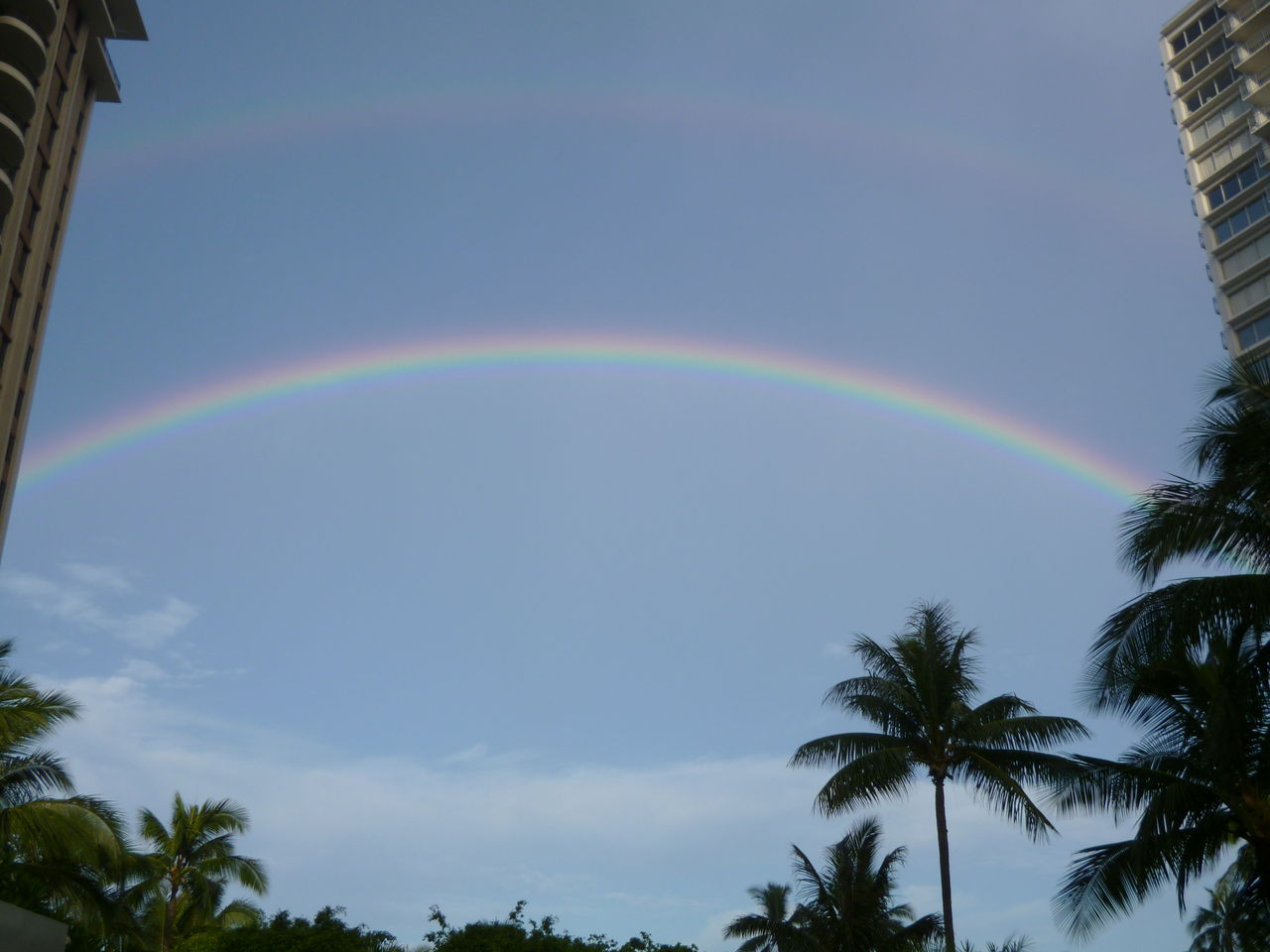 レインボー ステイト ハワイ Aolani日和