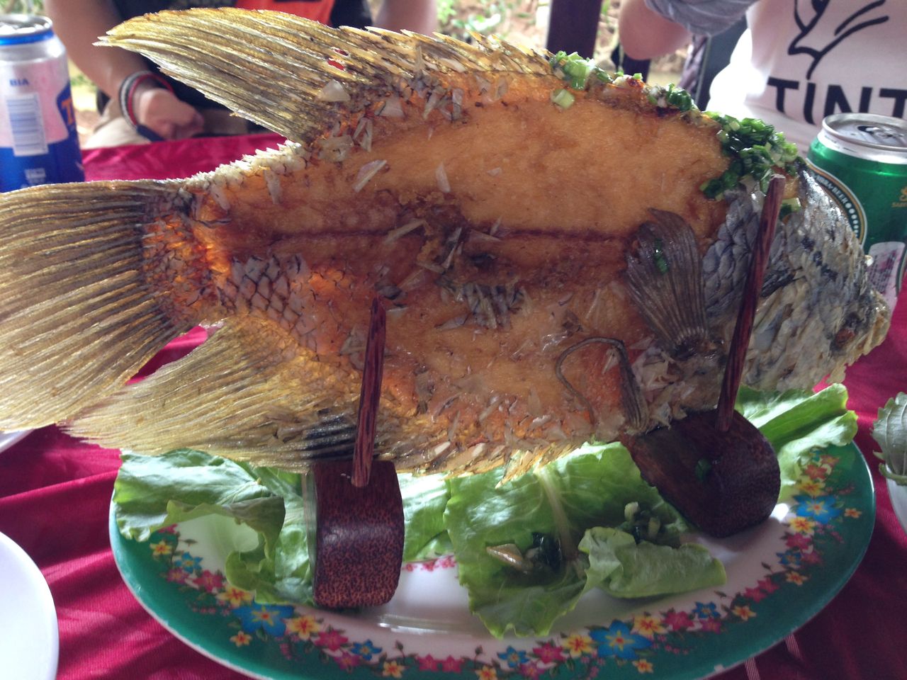 エレファントフィッシュの料理 Aolani日和