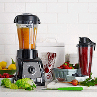 Vitamix