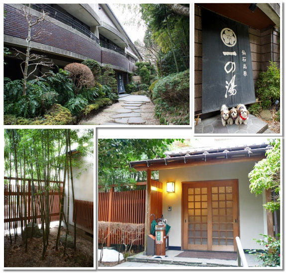 Wan Wan Wan 仙石高原 大箱根 一の湯 Facilities
