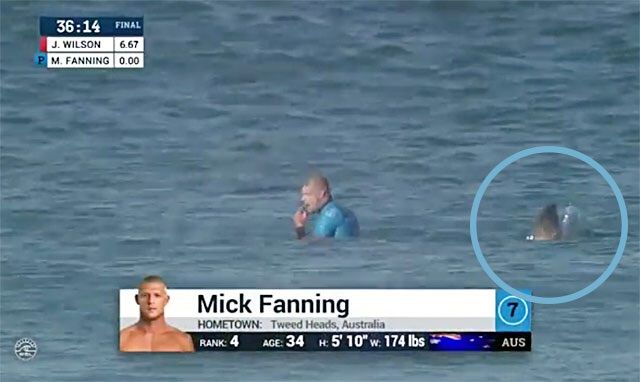 サメ騒動〜！！ : KEEP SMILE～!!BIG ALOHA～!!