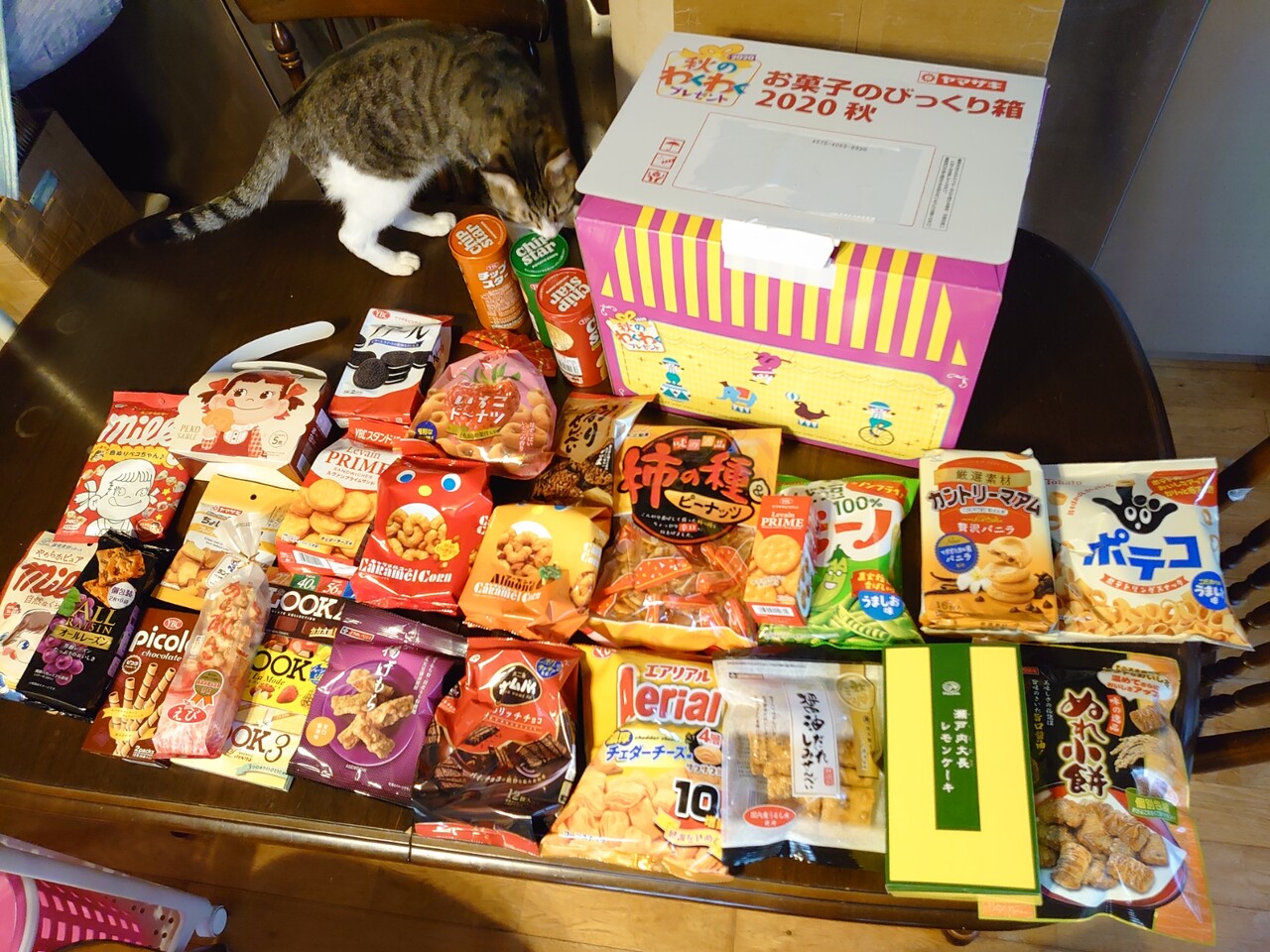 当たりました あっぱれ 四箇村の仲間たち 当たりました あっぱれ 四箇村の仲間たち