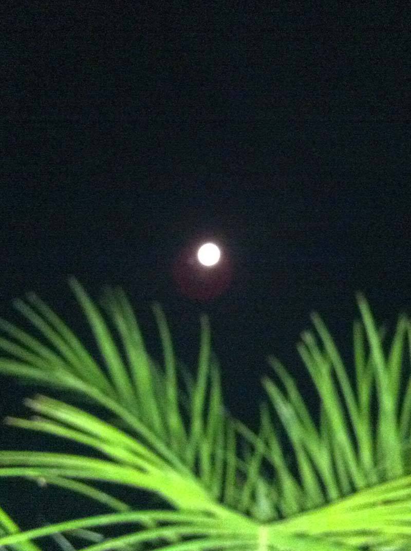 10694451_748036125291849_7085656366120742364_o