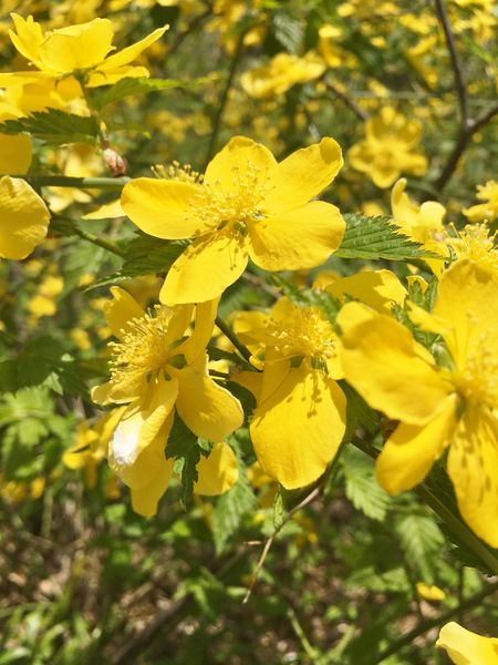 18121903_1375474419214680_6354192921582829594_o