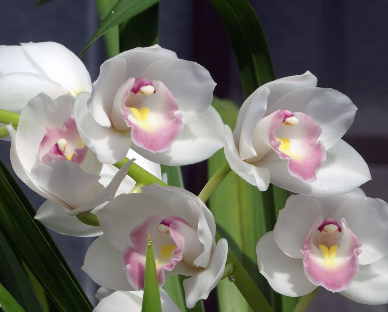 DSC03807 - コピー