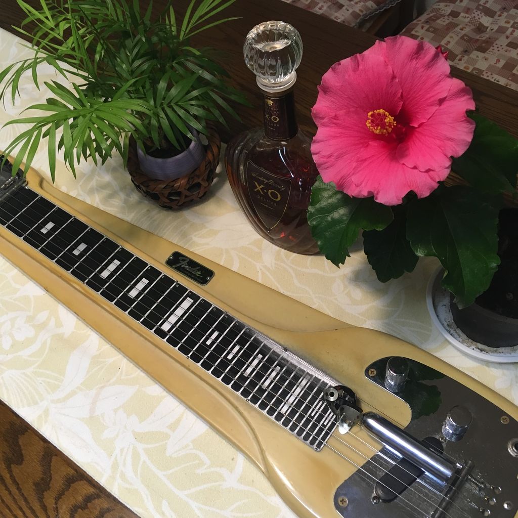 愛用のFender Steel Guitar 2種類をハワイアンやスティール・ギターの