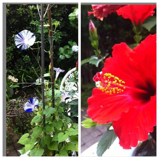 11707665_910669595695167_5166696683365021307_n