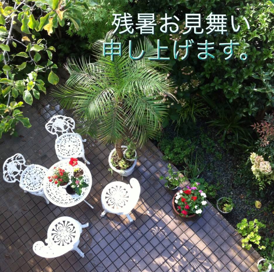 67761242_2374545665974212_6589740215986814976_n