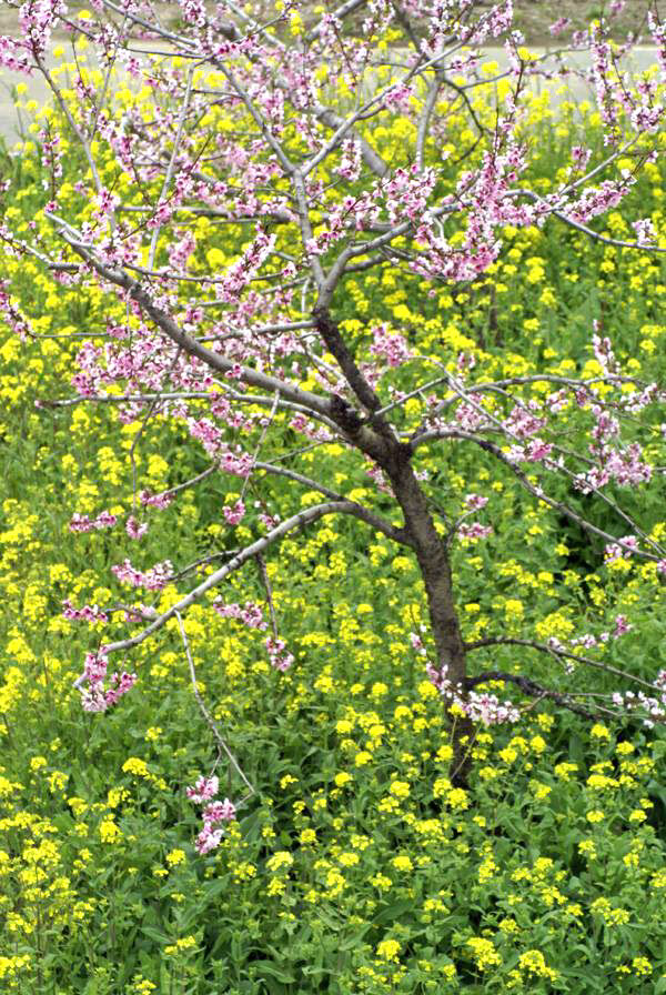 11179966_878080138954113_2779151934847019715_n